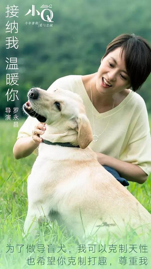 马耳他护照电子版作假